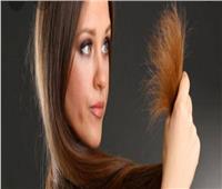 5 طرق منزلية لحماية أطراف الشعر من التقصيف
