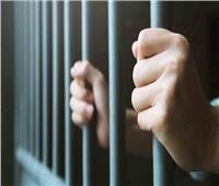 حبس المتهم بسرقة «حماة تامر حسني» في مول شهير
