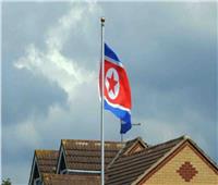 كوريا الشمالية تعلن اعترافها باستقلال «دونيتسك» و«لوجانسك»