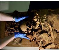 «عنخ خونسو».. مومياء مصرية تظهر للمرة الأولى في التاريخ بإيطاليا  