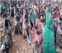 سقوط آلاف الجنود الإثيوبيين في أسر جبهة تحرير تيجراي.. فيديو