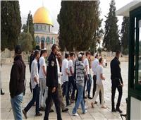 عشرات المستوطنين يقتحمون المسجد الأقصى واعتقال 11 فلسطينيا في الضفة
