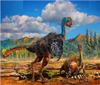 عاش قبل 120 مليون سنة.. العثور على الديناصور الطائر| فيديو