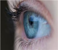 دراسة توضح نسبة الذكاء من «حدقة العين»