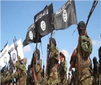 «بوكو حرام» تعلن مبايعتها لتنظيم «داعش»