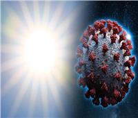 دراسة| أشعة الشمس قادرة على قتل فيروس كورونا في 5 دقائق