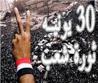 أمين عام المحامين العرب يهنئ الرئيس السيسي والمصريين بذكرى ثورة 30 يونيو