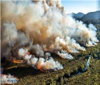 قبرص تطلب مساعدة الاتحاد الأوروبي فى إخماد حريق الغابات