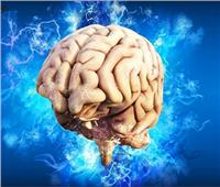 اكتشاف أسرار «الخلايا الزمنية» في دماغ الإنسان