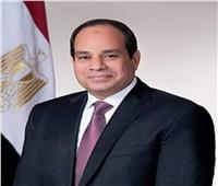 وزير الأوقاف: إنجازات مصر في عهد الرئيس السيسي أشبه بالحلم