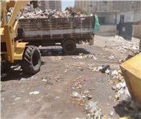 رفع كفاءة نظافة شارع العروبة بالطالبية | صور