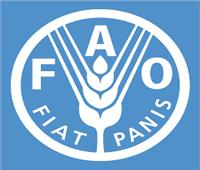 «الفاو»: تحويل نظم الغذاء والزراعة لتحقيق أهداف التنمية بالتعاون مع القطاع الخاص