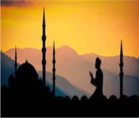 «اكتشف الإسلام».. مبادرة جديدة لمواجهة العنصرية ضد المسلمين في نيوزيلندا 