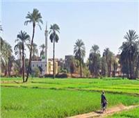 غدا.. «الزراعة» تنظم ورشة عمل تدريبية في مجال «تنمية الريف المصري»