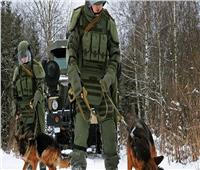 روسيا تعمل على نظام المظلة لإنزال الكلاب    