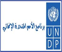 الجامعة العربية واليابان والأمم المتحدة يناقشون تنفيذ أهداف التنمية المستدامة