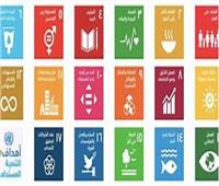 17 هدفًا لتحقيق التنمية المستدامة والقضاء على الفقر في 2030