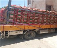 مخزون السلع الغذائية واسطوانات البوتاجاز كاف بمدن ومراكز مطروح | صور