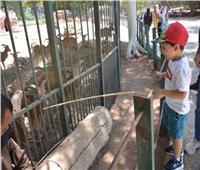 فتح حدائق الحيوان والأسماك والأورمان خلال عيد الأضحى 
