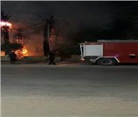 نشوب حريق في الأشجار والنخيل أمام مستشفى بني مزار العام بالمنيا| فيديو