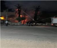نيابة المنيا تعاين موقع حريق نشب في أشجار ونخيل أمام مستشفى بني مزار