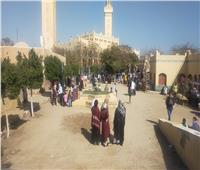 «أهالي المنيا» تتبارك بزيارة مقابر آل البيت وشجرة العذراء مريم | صور