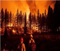 النيران تُحيل 20 ألف هكتار من غابات ولاية أوريجون الأمريكية إلى رماد