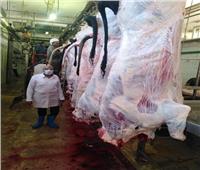  ذبح 4831 رأس ماشية بالمجازر خلال ثالث أيام عيد الأضحى