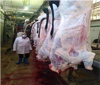 خاص| ذبح أكثر من ١٠٠ ماشية منذ بداية عيد الأضحى بمجزر البساتين 
