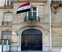 السفارة المصرية في شيلي تُنظم احتفالاً رقمياً لإحياء ذكرى ثورة ٢٣ يوليو  