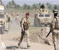 القوات العراقية تلقي القبض على قيادي بارز بداعش في جنوب البلاد