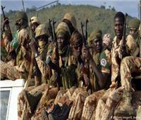 نيجيريا تستعين بمقاتلين روس لمواجهة "بوكوحرام"