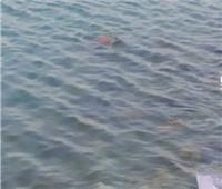 البحث عن جثة شاب غرق في مياة نهر النيل جنوب بني سويف 