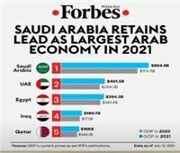 خبير: النمو الإيجابي سبب اختيار مصر كثالث أفضل اقتصاد عربي 2021
