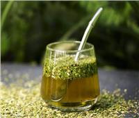 فوائد «شاي المتة» لإنقاص الوزن بعد عيد الأضحى