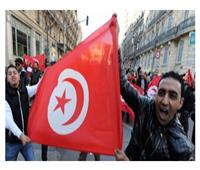 علي السيد: حركة النهضة الإخوانية فشلت اجتماعيا وسياسيا في تونس|| فيديو