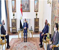 تفاصيل لقاء الرئيس السيسي ونائب رئيس الوزراء الأردني