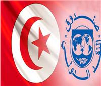 الاقتصاد وصندوق النقد.. أسباب أسقطت «إخوان تونس»