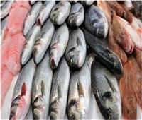 أسعار الأسماك في سوق العبور الثلاثاء 3 أغسطس  