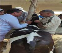 قافلة بيطرية لتحصين 4011 حيوانًا في محافظة القليوبية 