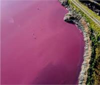 سر تحول مياه بحيرة أرجنتينية إلي اللون الوردي 