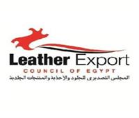 76.6 مليون دولار صادرات مصر من المنتجات الجلدية بالنصف الأول من ٢٠٢١