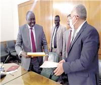 وزير الرى ونظيره السوداني يتابعان مشروعات التعاون بين البلدين