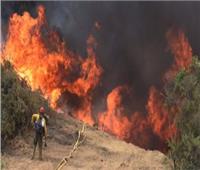 300 رجل إطفاء يشاركون في إخماد حريق غابات دمر 30 منزلا باليونان