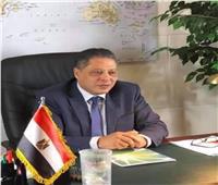 «هشام فريد» يكتب: حكمة «الرئيس» وقوة مصر