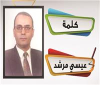 الاستثمار فى المناطق الحرة 