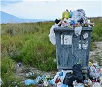 نائب يطالب وزيرة البيئة بحل جذري لأزمة القمامة بقرى المنشأة في سوهاج‎‎