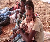 «أطفالٌ في خطر».. أحدث الانتقادات الموجهة لإثيوبيا بسبب تيجراي
