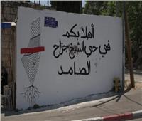 وزير شؤون القدس: الوضع في حي الشيخ جراح «خطير» 