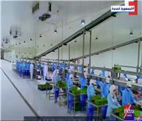 الرئيس السيسي يشهد فيلم "بكرا أحلى" خلال افتتاحه المدينة الصناعية «سايلو فودز» |فيديو 